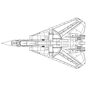 F-14 Tomcat hunting plane in top view.